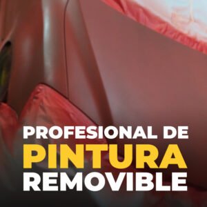 Pintura Removible